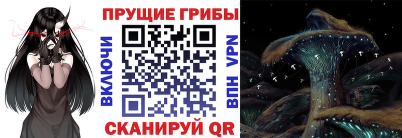 OMG ТОР  Краснослободск  Псилоцибиновые грибы MAGIC MUSHROOMS 